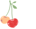 Touch of the Heart Logo